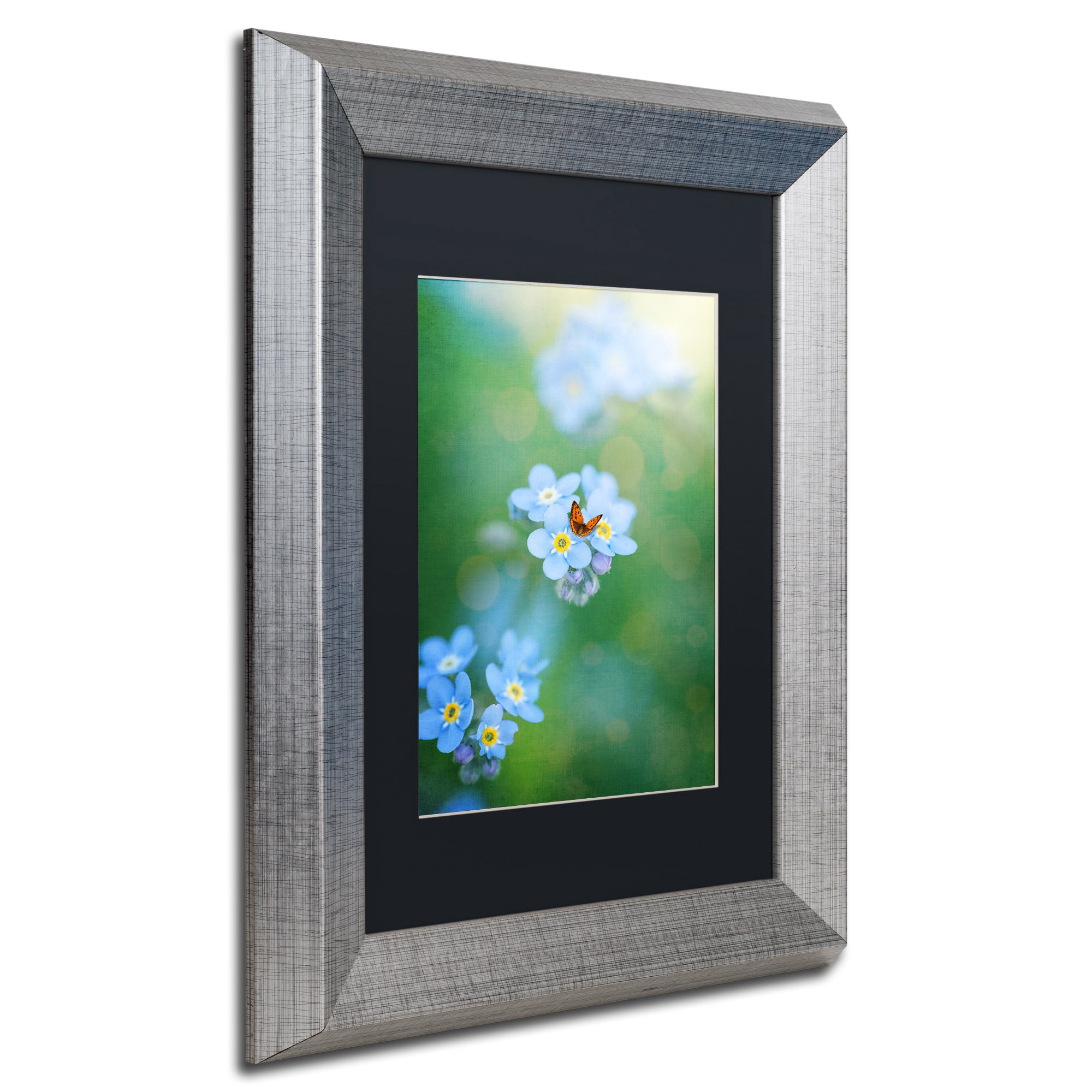 Trademark Fine Art "Forget-Me-Not" Canvas Art by Philippe Sainte-Laudy, Black Matte, Silver Frame