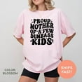 thumbnail image 4 of Proud Mother of a Few Chaos Creators-Comfort Color Shirt – Funny Mom Life Top, Sarcastic Parenting Tee, Cool Gift for Mom, 4 of 7