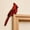 Cardinal, variant on Wooden Bird Door Topper Collection, Owl 2D Door Topper 4.3*4.7'' (1 Pair)