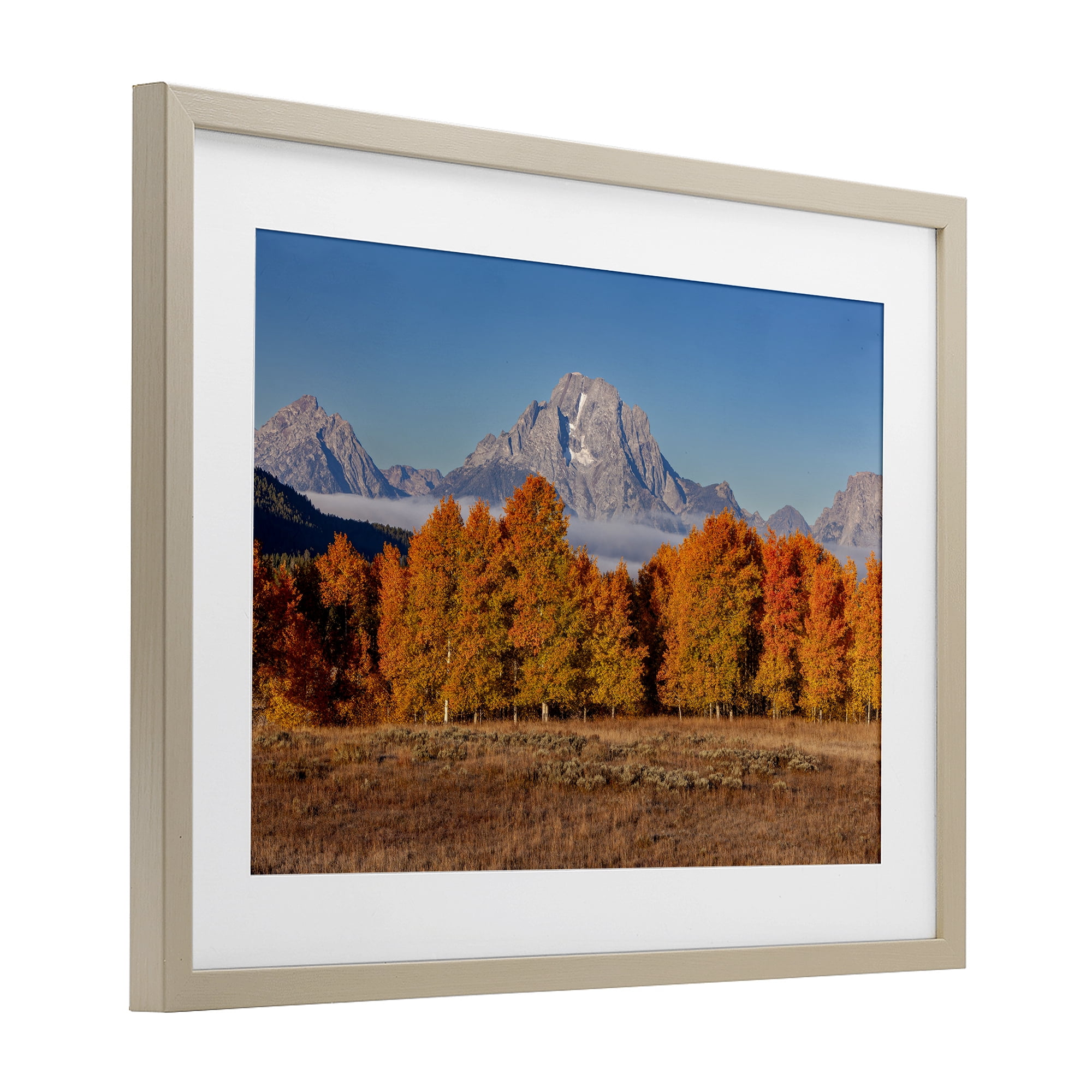 Autumn Tree Line With Mountain Birch Framed Print Under Glass, design by Shelley Carlisle
