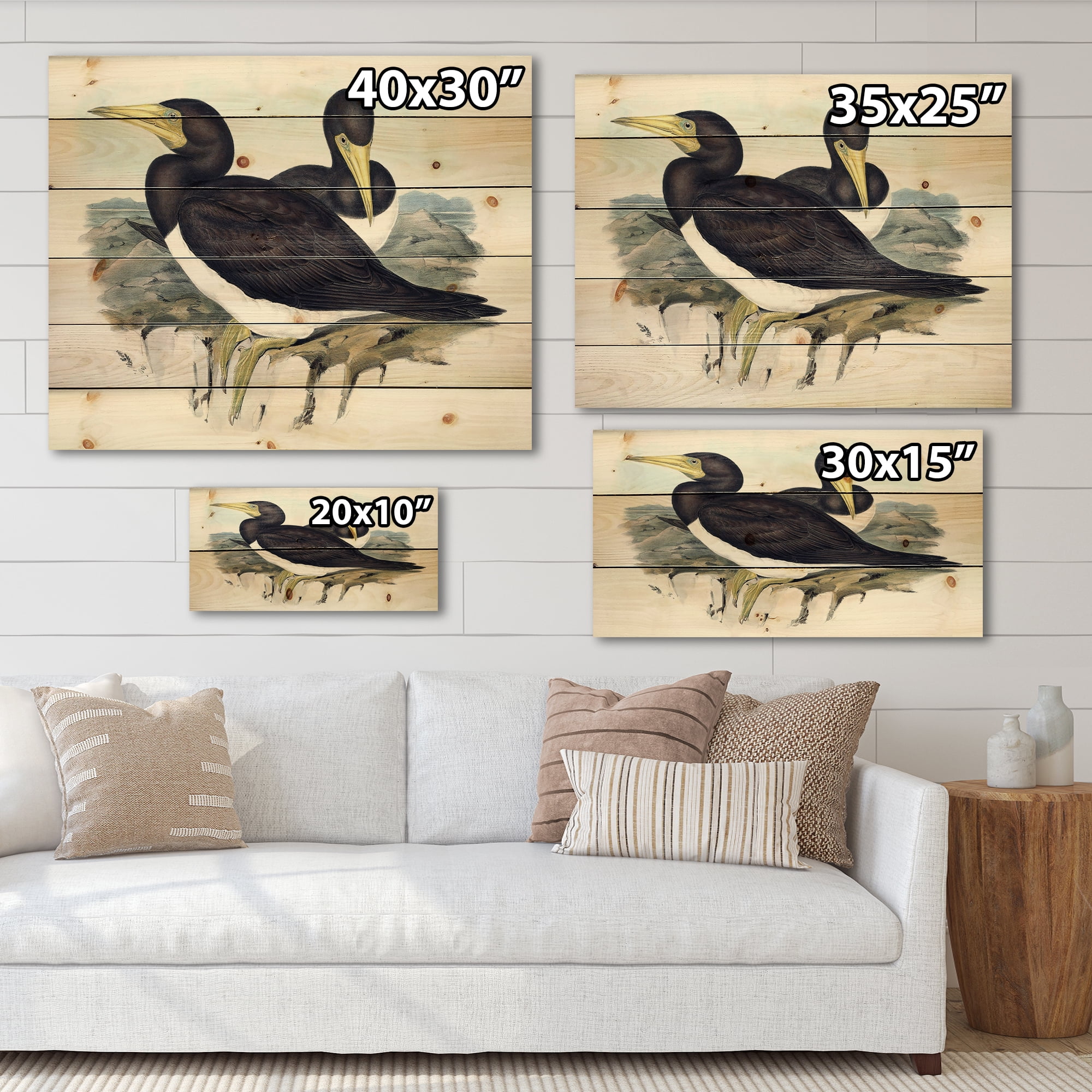 Designart 'Ancient Australian Birds XII' Traditional Print on Natural Pine Wood