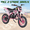 709 (Pink), variant on Floseru 49cc Dirt Bike for Kids,Kids Dirt Bike Mini Dirt Bikes,2-Stroke Gas Power Motocross Off-Road, Mini Pit Bike with Front Rear Disc Brakes, High-Speed Racing Motorcycle for Kid 30KM/H