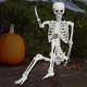 thumbnail image 5 of Teissuly Clearance 5.4 Ft Halloween Skeleton,Life Size Realistic Human Bones,PE,Seven Adjust Joints,Can Be Suspended From Ceiling,Suitable For Halloween(White, 52x40x16cm) Teissuly WER202309090143, 5 of 8