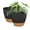 Black&Brown, variant on FIASON 2 Pack Plastic 10 Inch Black with Brown Self-Watering Plant Pots for Indoor Outdoor, Flower Pots Include Drainage Holes, Watering Lip & Removable Saucer