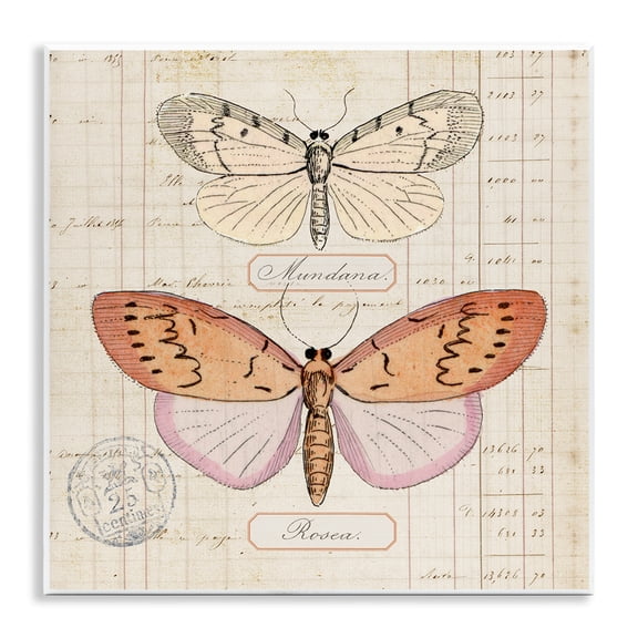 Stupell Industries Drawn Butterfly Studies Insects Painting Unframed Art Print Wall Art, 12 x 12