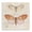 Vintage Butterfly Studies_v1, variant on Stupell Industries Eclectic Vintage Butterfly Specimen Black Floating Frame Canvas Art, 18 x 18, by Susan Arnot