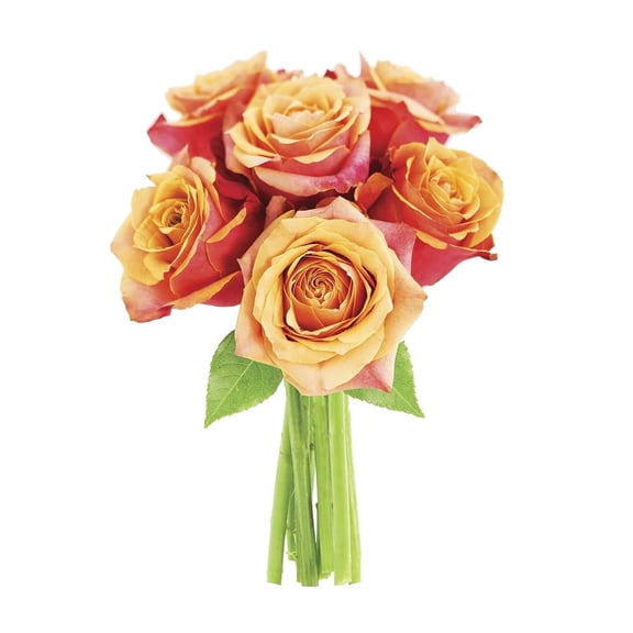 KaBloom: Fall Collection- Bouquet of Fresh 6 Orange Roses, Next-Day Delivery, Gift for all occasions