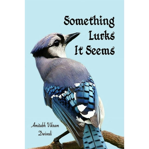 Something Lurks It Seems (Paperback)