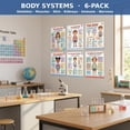 JELLY BEAN GENIUS Human Body Systems Posters Set of 6 – Laminated Dry ...