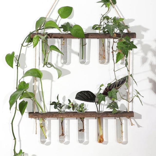 Tubo de ensayo de planta hidropónica de vidrio montado en la pared Tubo de ensayo hidropónico Decoración de pared Colgante de madera maciza Jarrón de pared montado en la pared