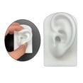thumbnail image 4 of Accesorios de Modelo de Oreja, Modelo Artificial de Silicona, Ejercicios, Estudio, Oficina, Auriculares, Accesorios de Exhibición , blanco Salvador Modelado de partes del cuerpo humano, 4 of 10