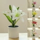 thumbnail image 1 of Gwong Decoración hogareña Fallo de flores falsas simuladas con facilidad de fácil cuidado de plástico Lily Bonsai decoración artificial de la planta para el hogar Gwong 21083261, 1 of 6