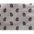 thumbnail image 4 of oneOone Georgette Viscose Fabric Paisley Block Decor Fabric Printed BTY 42 Inch Wide, 4 of 4