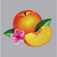 thumbnail image 1 of Phoenix - Bankrupt! (Vinyl), 1 of 1