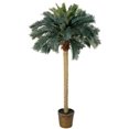 thumbnail image 1 of Nearly Natural 6ft. Sago Palm Silk Artificial Tree, 6 ft, Green, 1 of 1