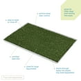 thumbnail image 2 of Prevue Pet Products Tinkle Turf Replacement Turf-Size:Large, 2 of 9