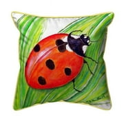 12 x 12 in. Ladybug Small Indoor & Outdoor Pillow
