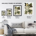 thumbnail image 3 of Various Ivy Leaves Watercolor Painting Hibberd Framed Wall Art Print 12X16", 3 of 4