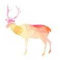 thumbnail image 2 of Vess, June Erica 12x12 White Modern Wood Framed Museum Art Print Titled - Agate Animal V, 2 of 4