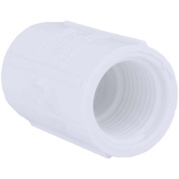 Charlotte Pipe PVC021020500, PVC, 0.5 in. Schedule 40 Coupling Pipe Fittings