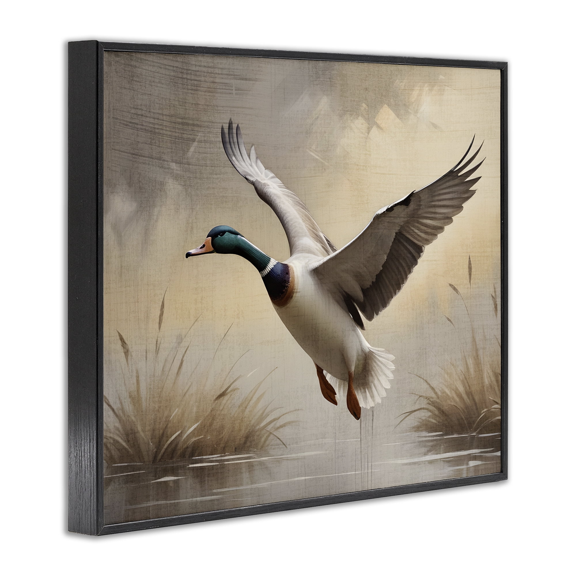 Stupell Industries Gliding Mallard over Wetlands Black Framed Giclee Art, design by Susan Arnot
