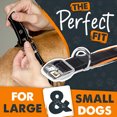 thumbnail image 5 of Mighty Paw Sport Collar 2.0 | Soft Neoprene Padded Dog Collar for Maximum Comfort. (Orange) (Medium), 5 of 9