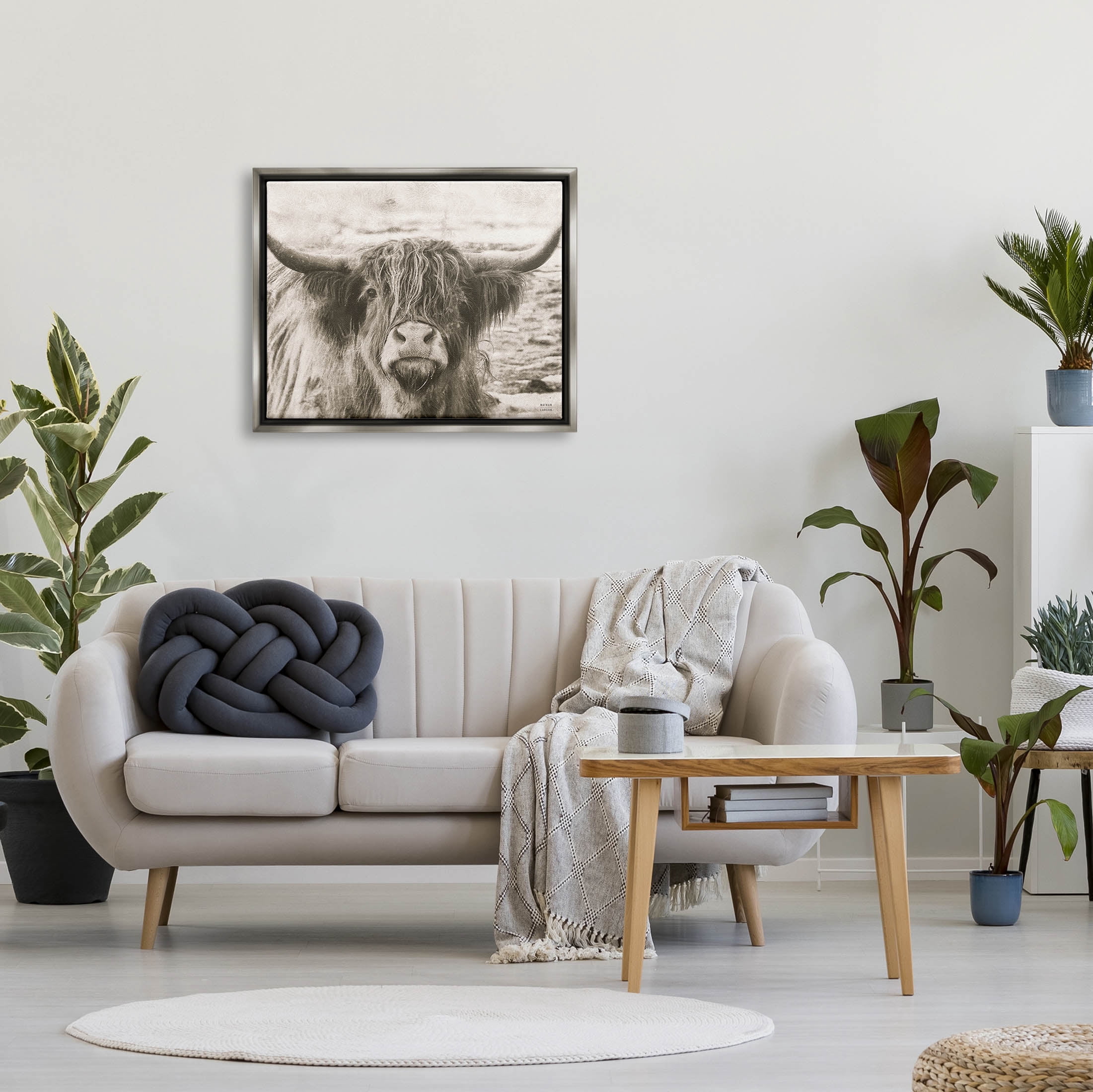 Stupell Industries Highland Cattle Cow Gazing Photography Photograph Luster Gray Floating Framed Canvas Print Wall Art, Design by Nathan Larson