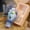 E, variant on Life and Letters of Edgar Allan Poe; Volume II (Paperback)