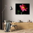 thumbnail image 3 of Tammy Putman 24x17 Gallery Wrapped Canvas Wall Art Titled - Pink Peony IV, 3 of 4