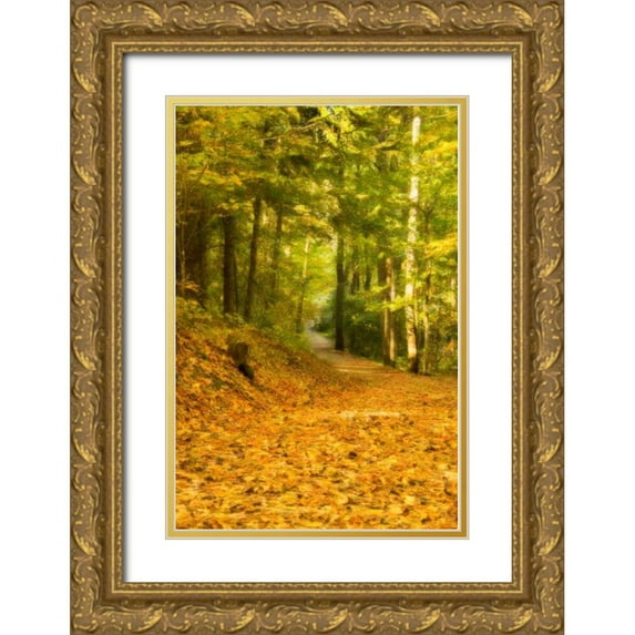 Murdock, Ramona 13x18 Gold Ornate Wood Framed with Double Matting Museum Art Print Titled - Forest Path