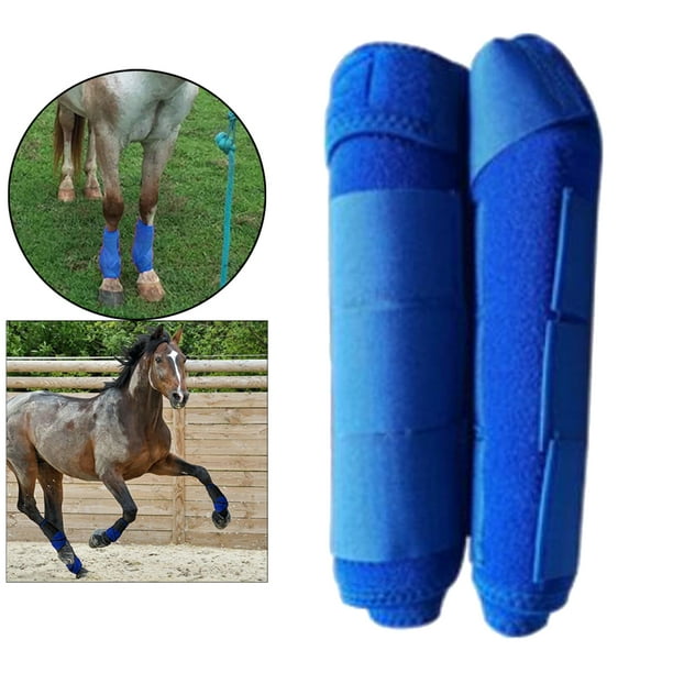 Shin boots hotsell for horses