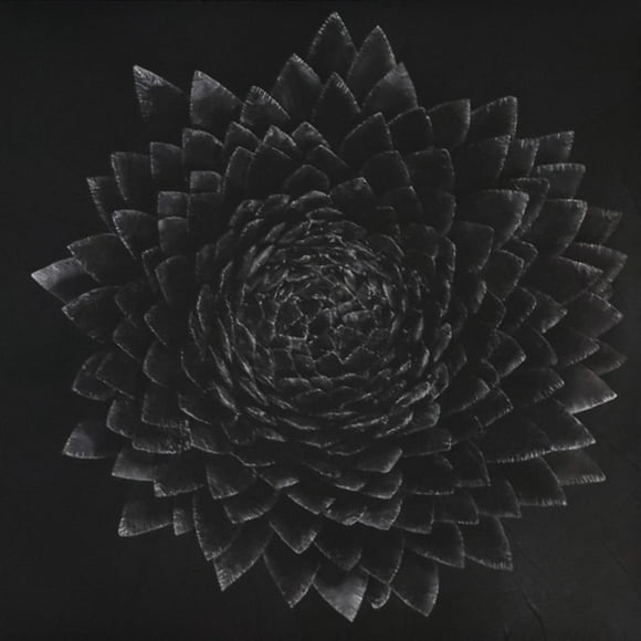 Jnsi – Obsidienne