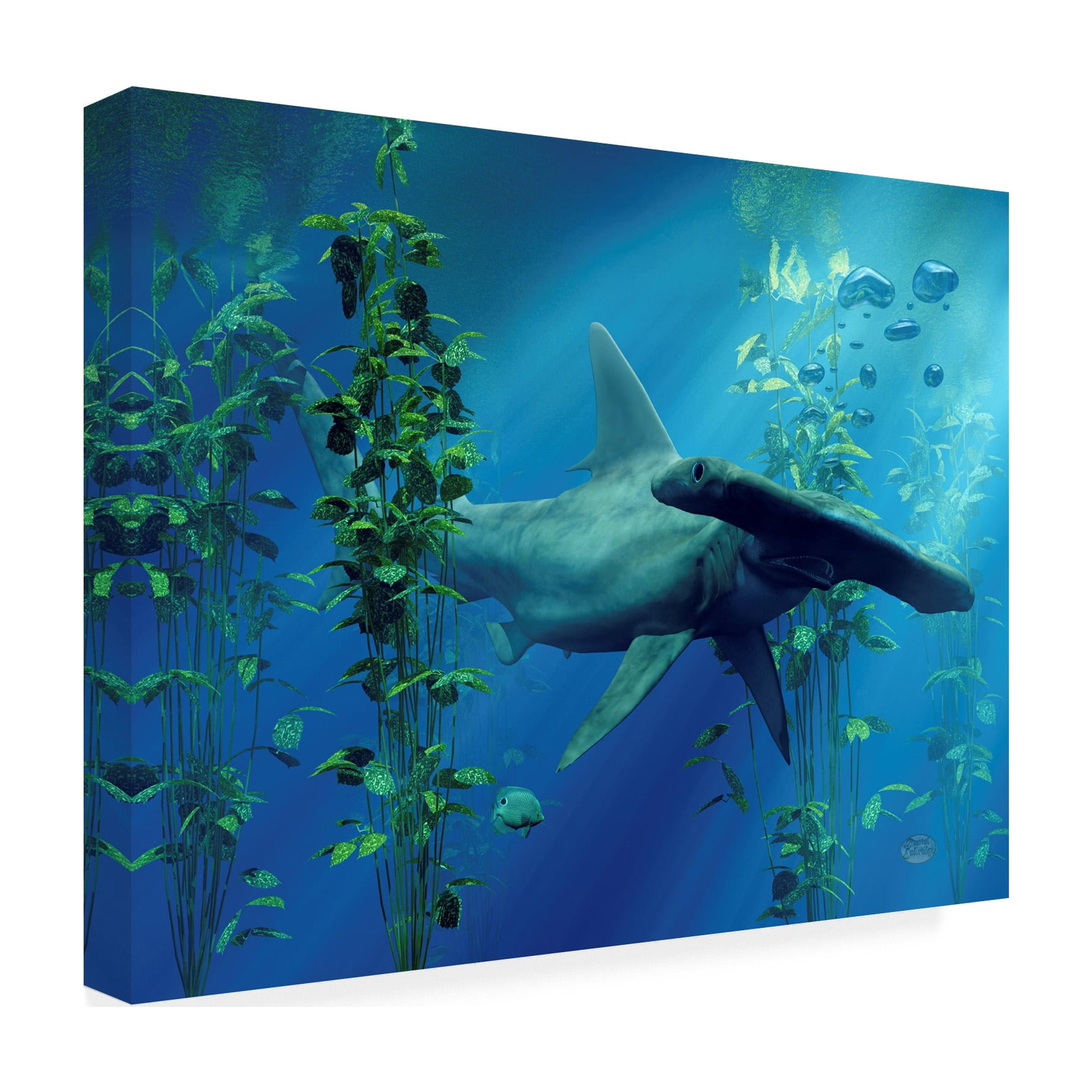 Trademark Fine Art 'Hammerhead' Canvas Art by Daniel Eskridge
