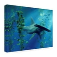 thumbnail image 4 of Trademark Fine Art 'Hammerhead' Canvas Art by Daniel Eskridge, 4 of 4