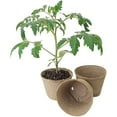 thumbnail image 3 of 5 inch seed starting Peat pots Pack of 6 easy transplant Super, 3 of 4