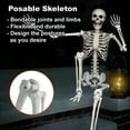 thumbnail image 3 of Gamexcel 5.5ft Halloween Skeleton with Movable Joints, Realistic Bones Prop for Yard, Lawn, or Haunted House Decor, 3 of 8