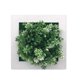 thumbnail image 1 of Plantas De Simulación Marco De Fot 3d, Decoración De Pared De Flores Colgantes Con Plantas Artificiales, Marcos De Imágenes De Plantas De Simulación Para El Hogar, Oficina, 1 of 6