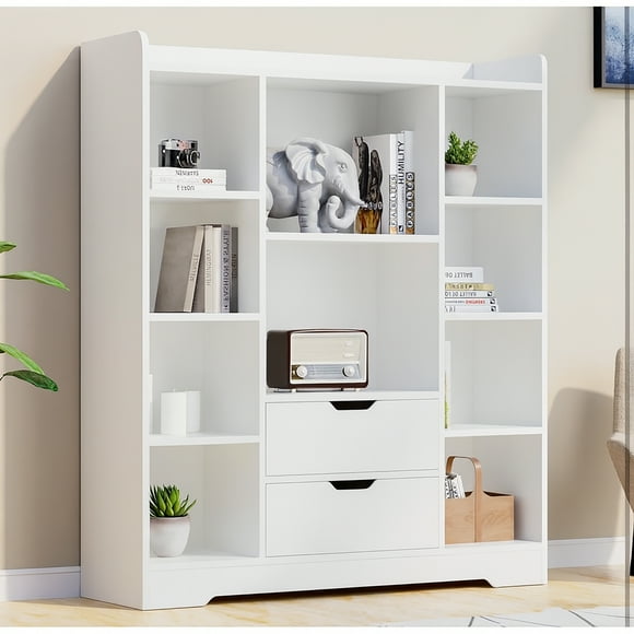 Modern Bookshelf with 2 Drawers & 10 Open Shelves, 39" Wide Storage Cabinet, 47" Tall Bookcase for Home Office & Living Room, Adjustable Compartments, CARB-Certified Wood (RANDOM COLOR)