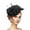 Black, variant on SWSMCLT Women's Fascinator Hats Autumn Feather Headwear Vintage Elegant Pull On Fascinator Tea Party Headband Pink One Size