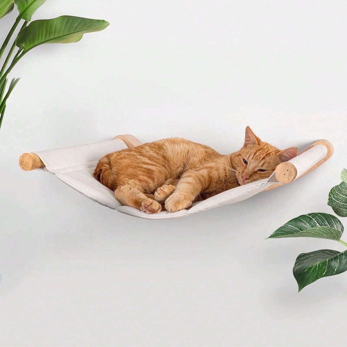 QLFYUU Cat Hammock, Cat Wall Shelves & Floating Window Perch, White