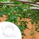 thumbnail image 4 of Para Enrejado Tomate Plástico Reutilizable 100/200 Uds. Plantas Trepadoras, 4 of 9