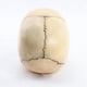 thumbnail image 5 of 6X 1:2 CráNeo Desmontado Modelo AnatóMico AnatomíA Esqueleto CráNeo Modelo Desmontable Herramienta de Suministros de EnseñAnza, 5 of 6