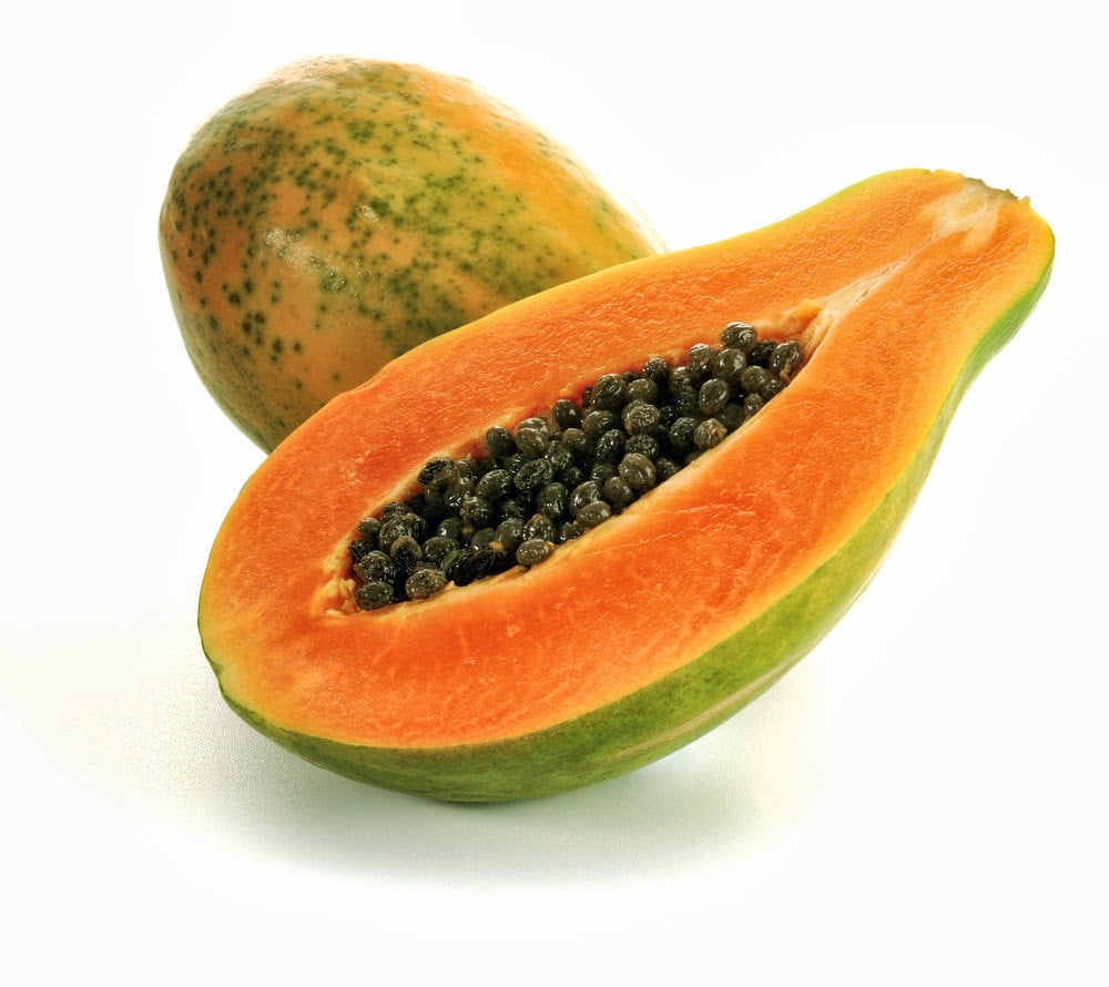 Papaya Fruit Tree - The Scientist Gardener: Transgenic Papayas, Take 2 / The papaya tree is very sensitive to frost and must be grown in tropical temperatures.