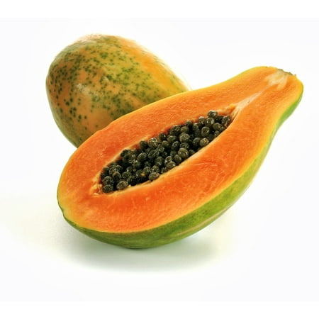 Tainung Papaya  Tree - Carica papaya - Easy to grow fruit - 4
