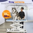 thumbnail image 6 of Toyandona Professional Electric Lift Table with Storage Drawer and Hooks, 6 of 14
