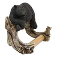 thumbnail image 3 of Rustic Lazy Black Bear Resting On Tree Branch Toilet Paper Holder Figurine 8"L, 3 of 9