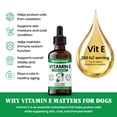 thumbnail image 5 of Vitamin E for Dogs Liquid 250 IU - Vitamin E Oil for Dogs Skin and Coat Support - Dog Immune Support Antioxidant Supplement - Bacon Flavor - 60 Servings - 2 oz, 5 of 7