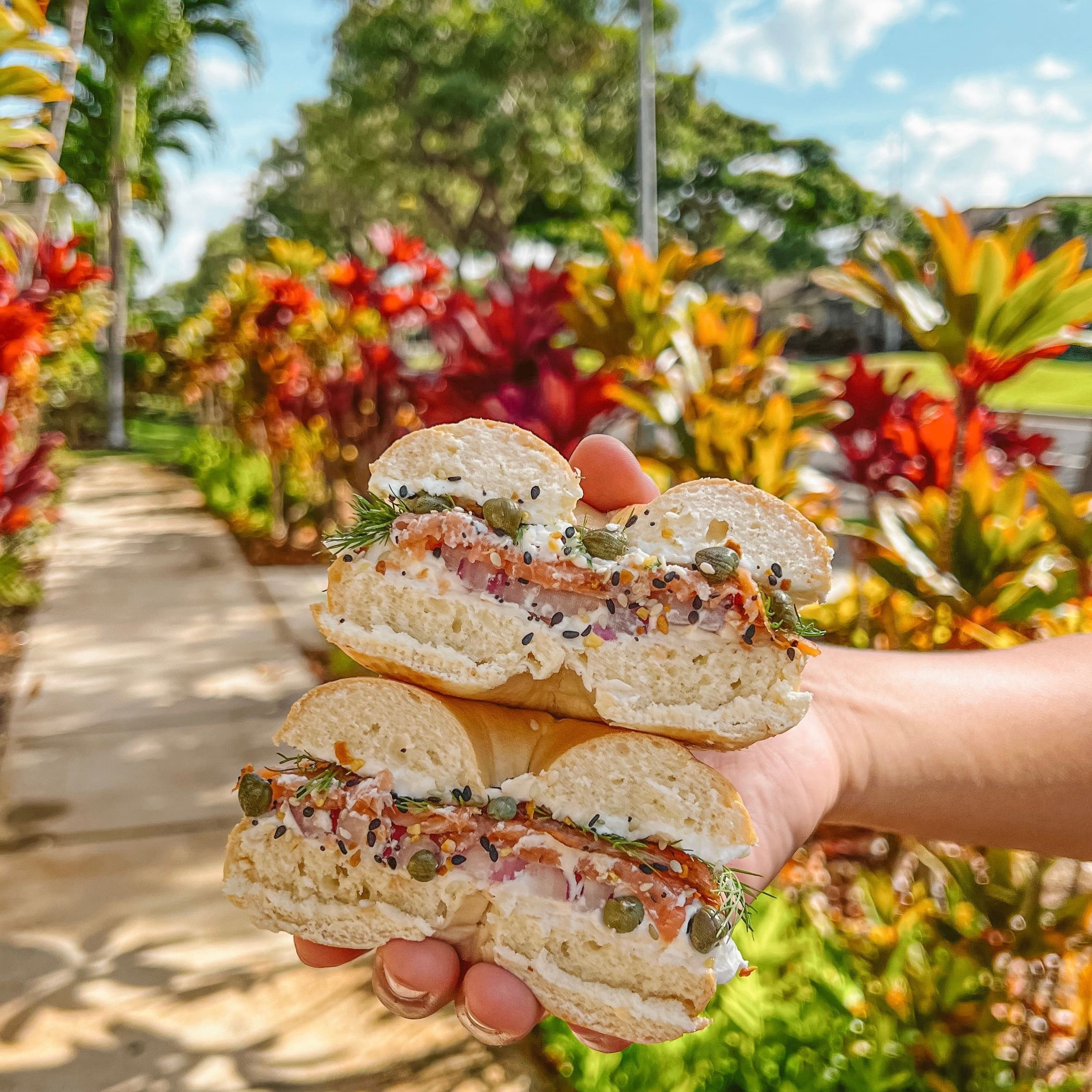 Franz Hawaiian Premium Bagels, 18 oz, 6 Count