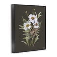 thumbnail image 2 of Stupell Industries French Country Daisy Bouquet with Swallowtail Black Framed Giclee Art, 11 x 14, by House Fenway, 2 of 8