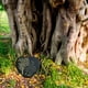 thumbnail image 5 of Advancent Duelo Piedra conmemorativa Familias Mascotas Memoria Piedras decorativas Simpatía Regalos Accesorio para interior Jardín al aire libre Jardín y Patio Árbol Tamaño 10x10cm Advancent HA063112-07, 5 of 6